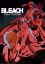 Slika Bleach Thousand-Year Blood War Poster A3